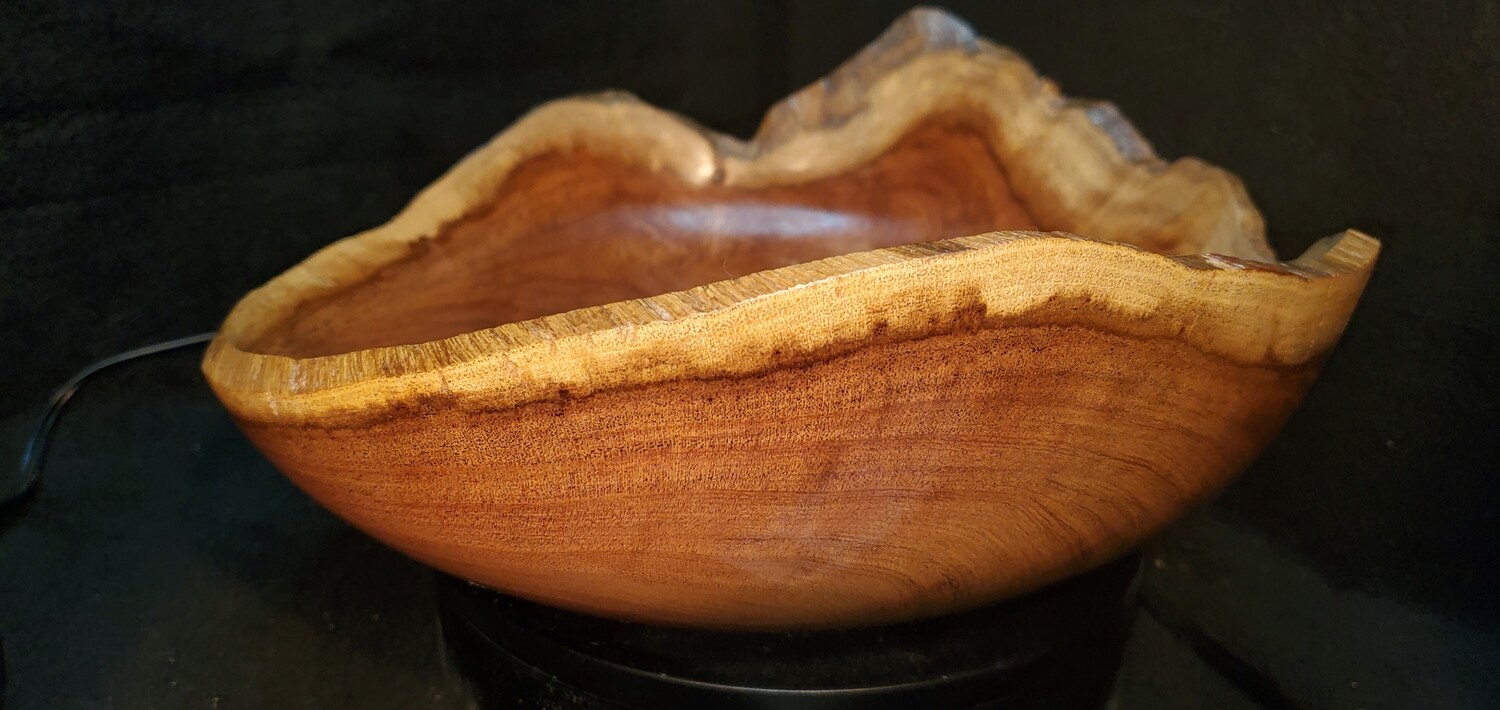 Natural edge Arizona honey Mesquite hollow form bowl