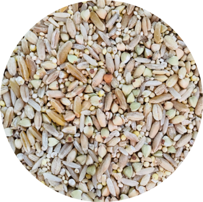 Grains, Nuts, Seeds