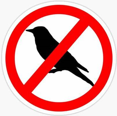 Not For Birds!