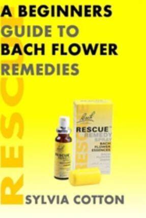 Beginners Guide to Bach Flower Remedies