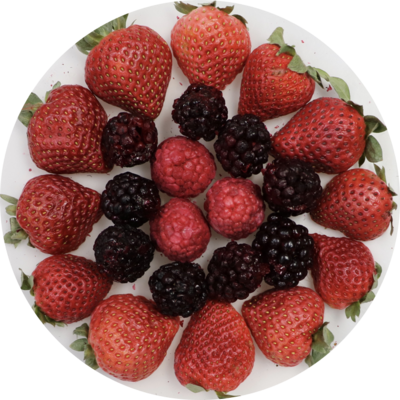 Berries, Berry Blast Tart