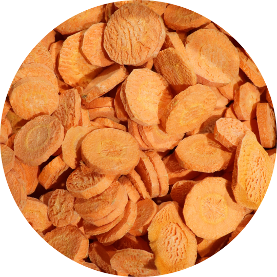 big-foot-foodie-carrots-freeze-dried
