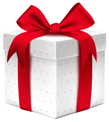 GIFT BOX #2 (for Rescues)