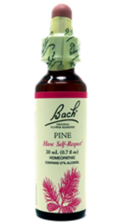 Pine