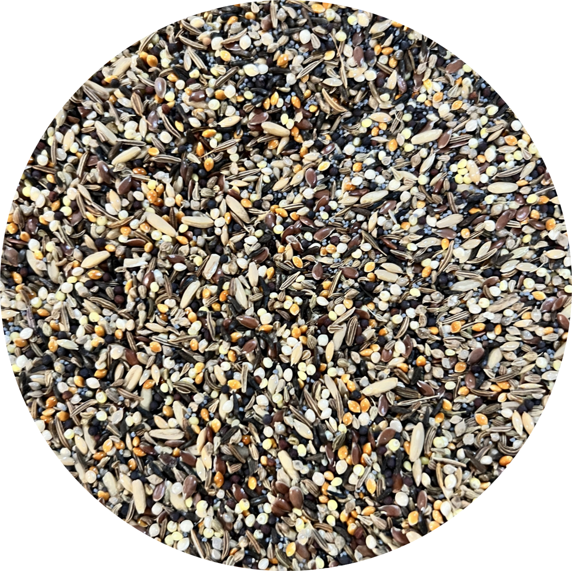 Sprouted-Sprouts, Canary-Finch Mix