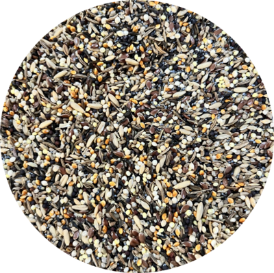 Sprouted-Sprouts, Canary-Finch Mix