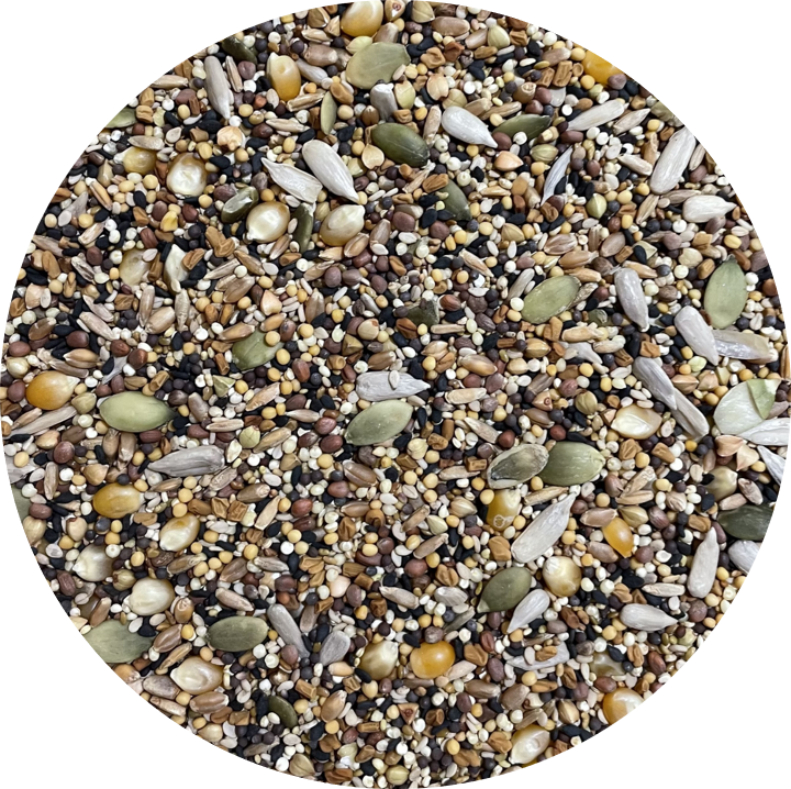 UN-Sprouted Seeds, Large Bird Mix