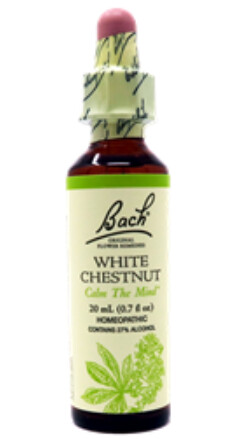 White Chestnut