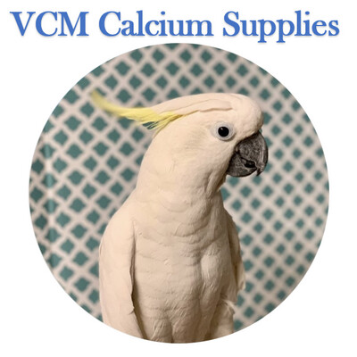 Calcium Powder