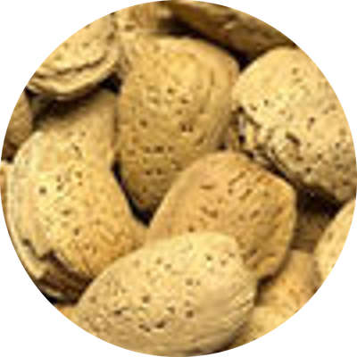 Almonds-In-Shell - 20 oz.