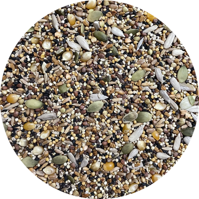 UN-Sprouted Seeds, Large Bird Mix