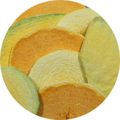 Squash Melody in Symphony~A™