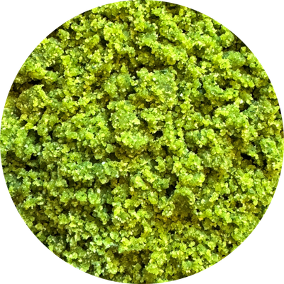 Parrot Almond Butter