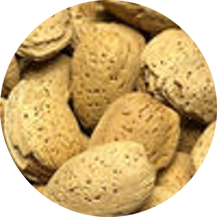 Almonds-In-Shell - 20 oz.