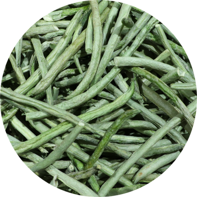 Beans, French