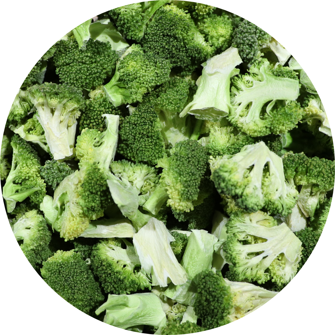 Broccoli