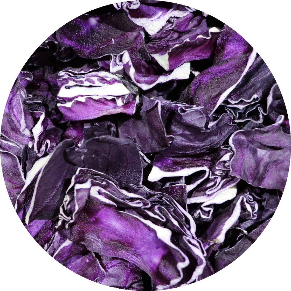 Red Cabbage