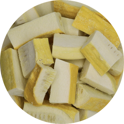 Yellow Squash