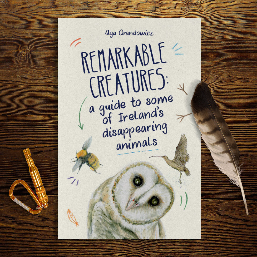 Remarkable Creatures: a guide to some of Ireland’s disappearing animals