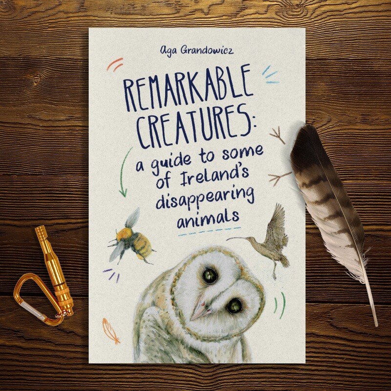 Remarkable Creatures: a guide to some of Ireland’s disappearing animals