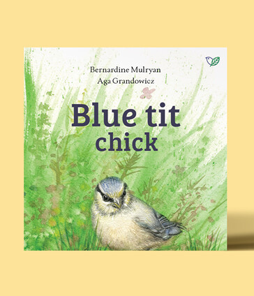 ‘Blue tit chick’ written by Bernardine Mulryan, and illustrated by Aga Grandowicz