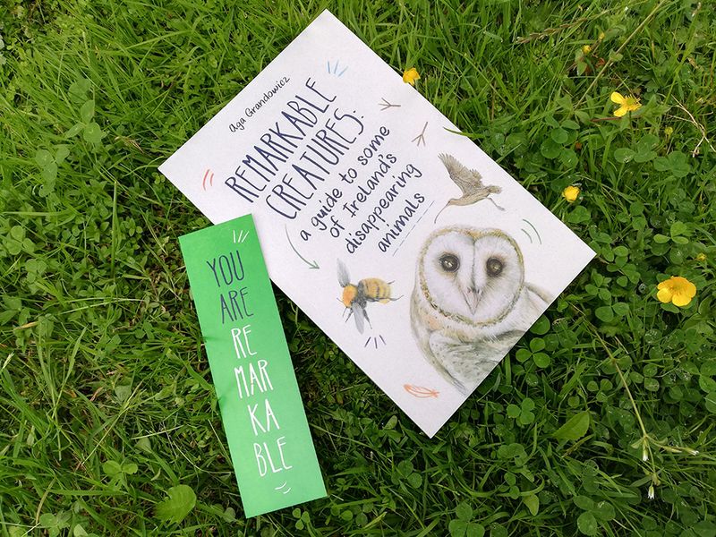 ‘Remarkable creatures: a guide to some of Ireland’s disappearing animals’, written and illustrated by Aga Grandowicz