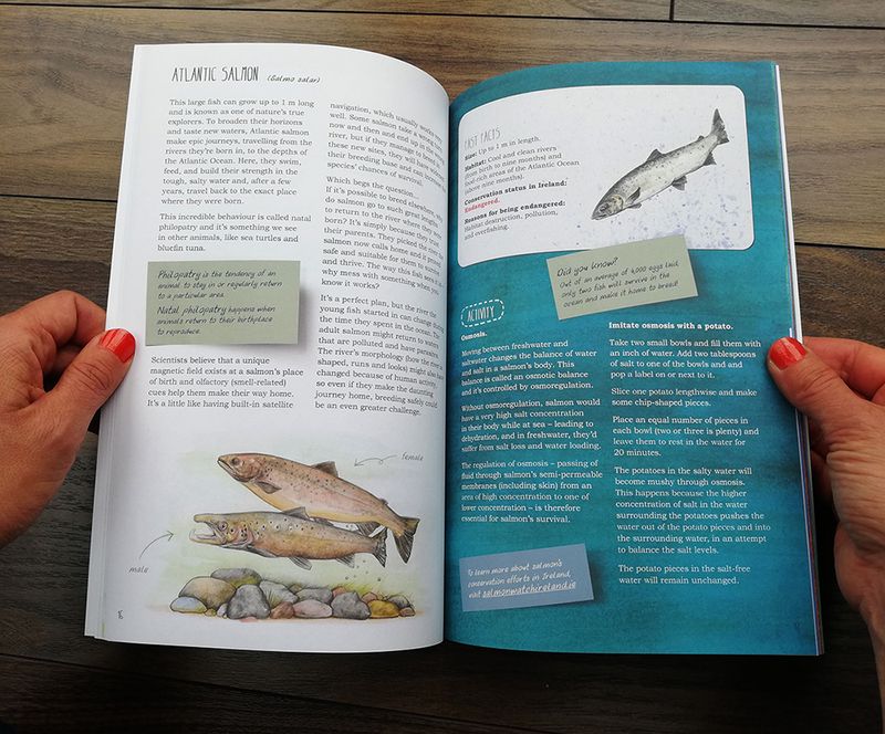 ​Atlantic Salmon: A Deep Dive into Ireland’s Remarkable Creature