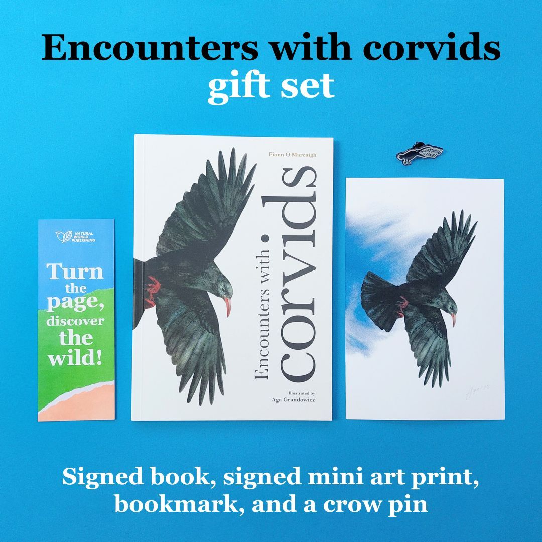 Encounters with corvids gift set