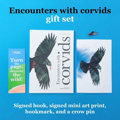 Encounters with corvids gift set