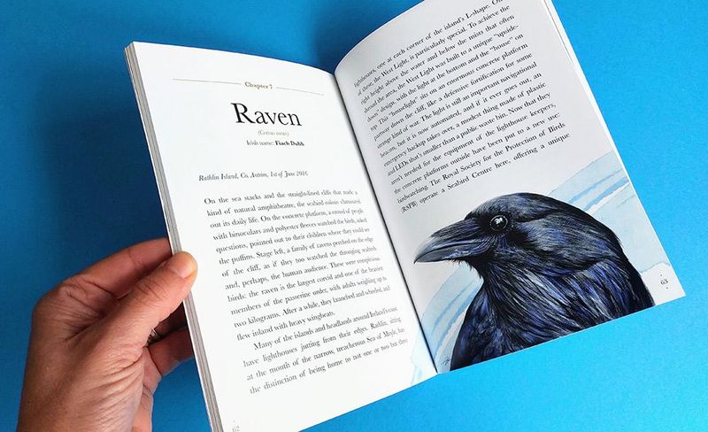 Ravens’ minds, beautifully described in &#39;Encounters with corvids&#39; by Fionn Ó Marcaigh, illustrated by Aga Grandowicz.
