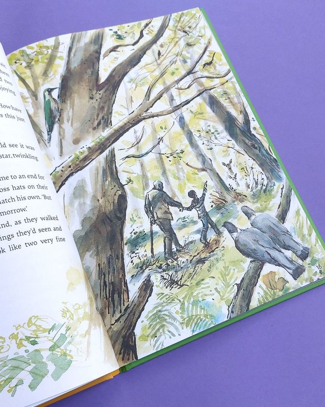 ‘Rich as Kings’ written by Gina McCrudden and illustrated by Dan Williams – a beautiful story from our &#39;Wild Wonders, an anthology of short nature stories for children’.