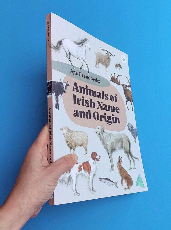 Introducing 'Animals of Irish Name and Origin'; A Celebration of Ireland’s Natural Heritage