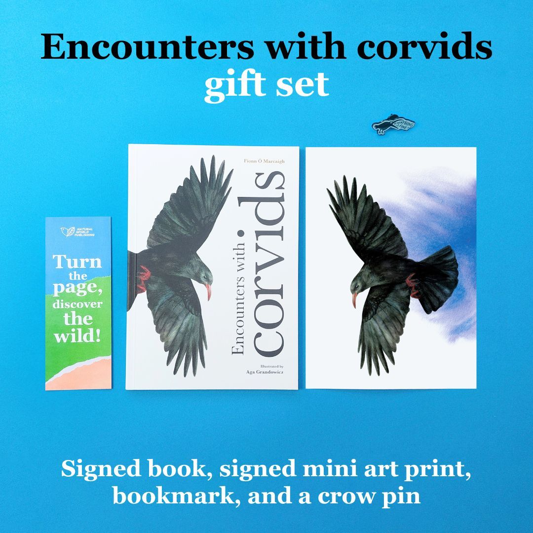 Encounters with corvids gift set