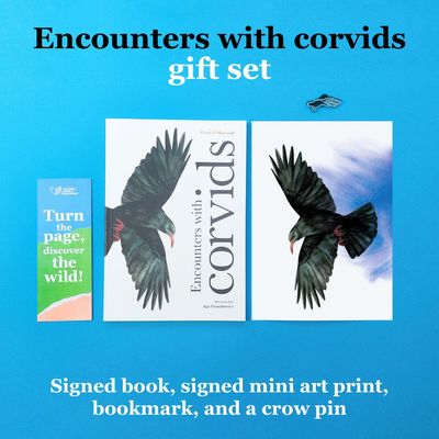 Encounters with corvids gift set