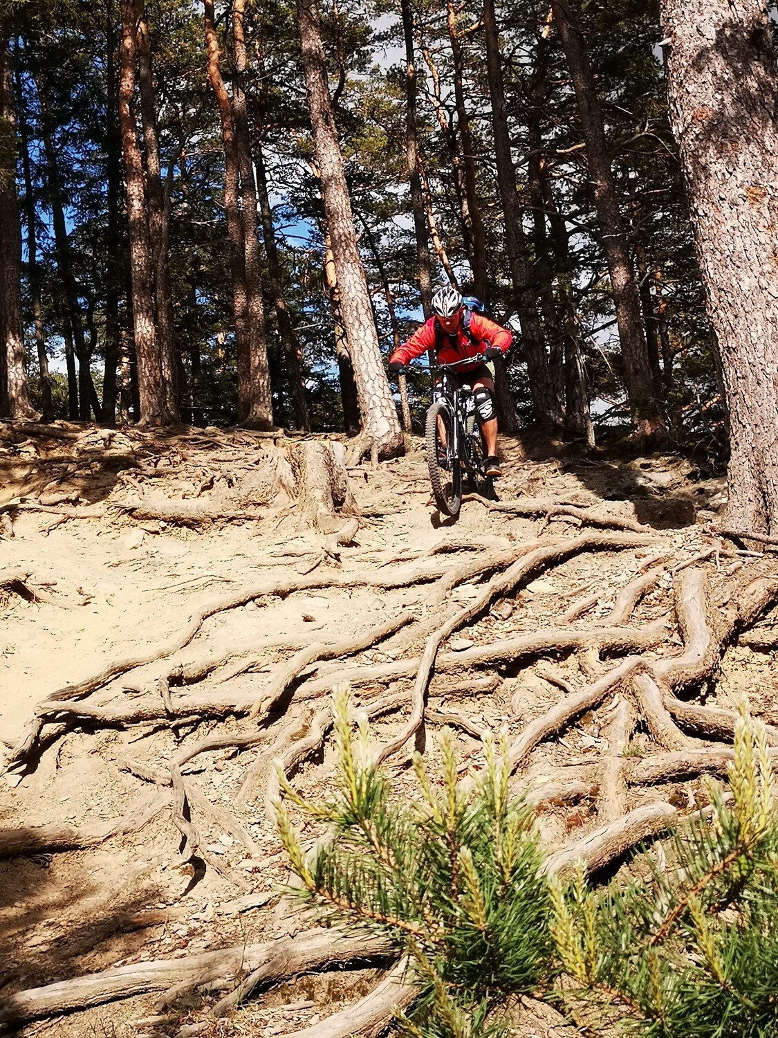 MTB &amp; E-MTB Fortgeschrittenenkurs in Erlangen