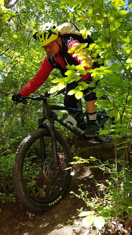 Privatunterricht in Erlangen