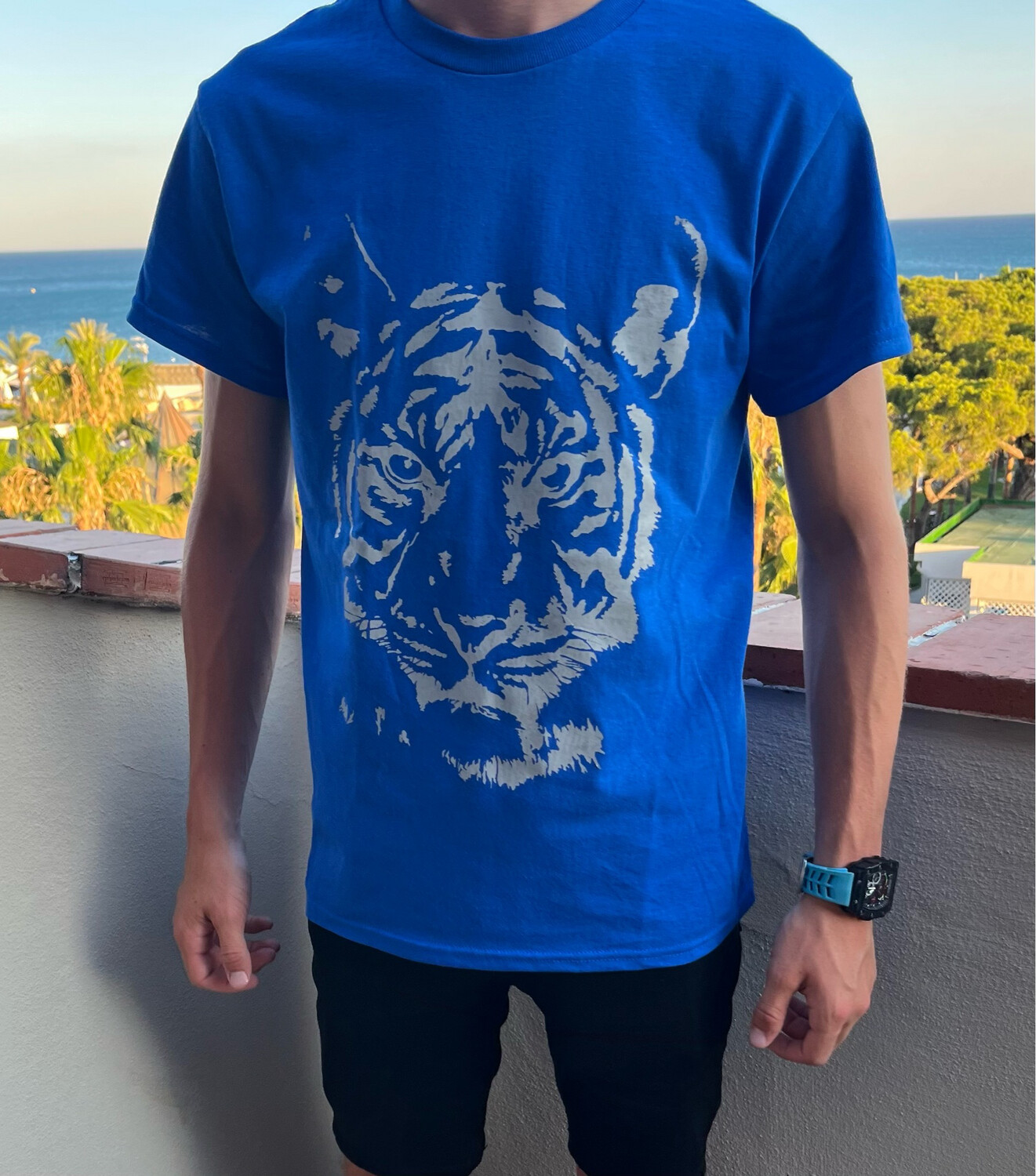 Tiger T -Grey - Royal Blue