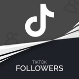 100 Tiktok Followers