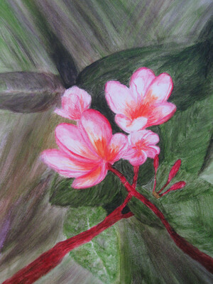 Pink Flowers 14 x 17 canvas