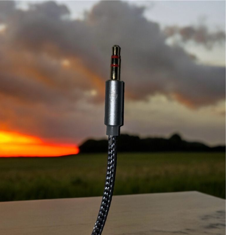 Headphone Splitter “Y” Adapter