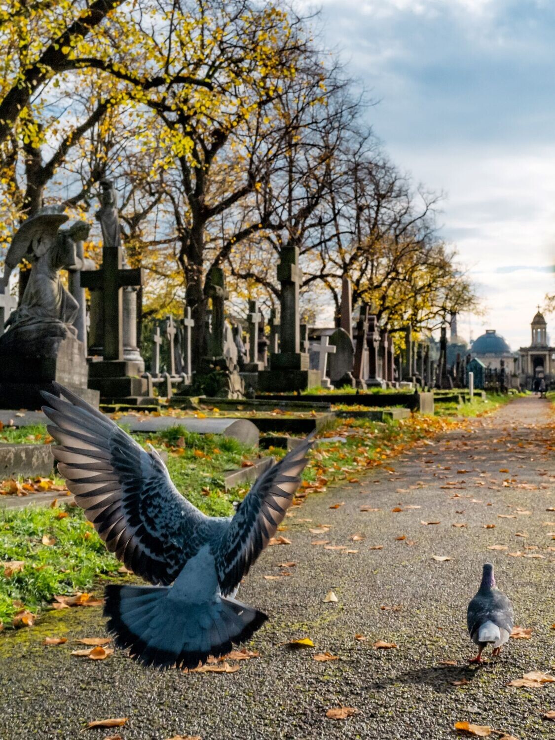 Graveside Maintenance. Full Headstone Clean.