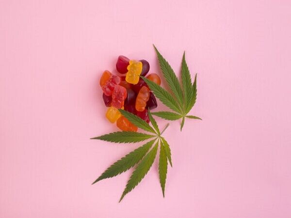 New Age Keto Burner ACV Gummies buy