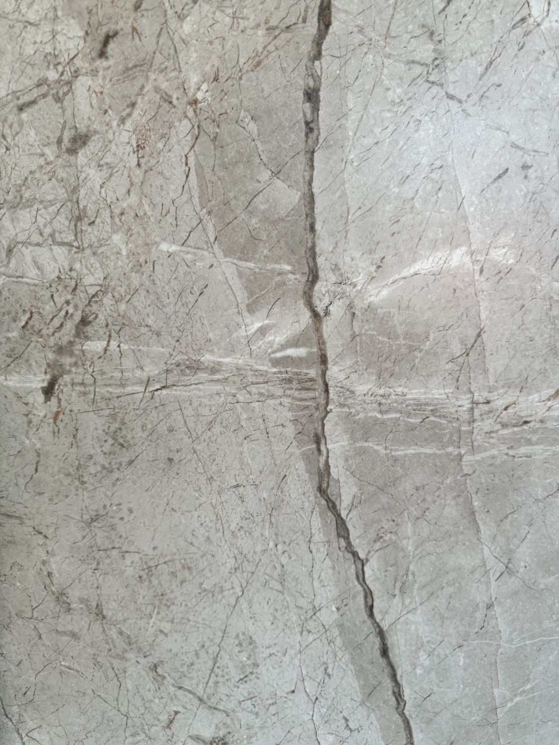 Silver Root Series, Colour: Ivory, Size: 300x600, Finish: Polished