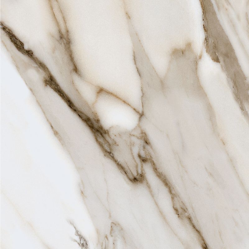 Calacatta Gold Series M