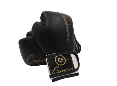 Quinns Boxhandschuhe