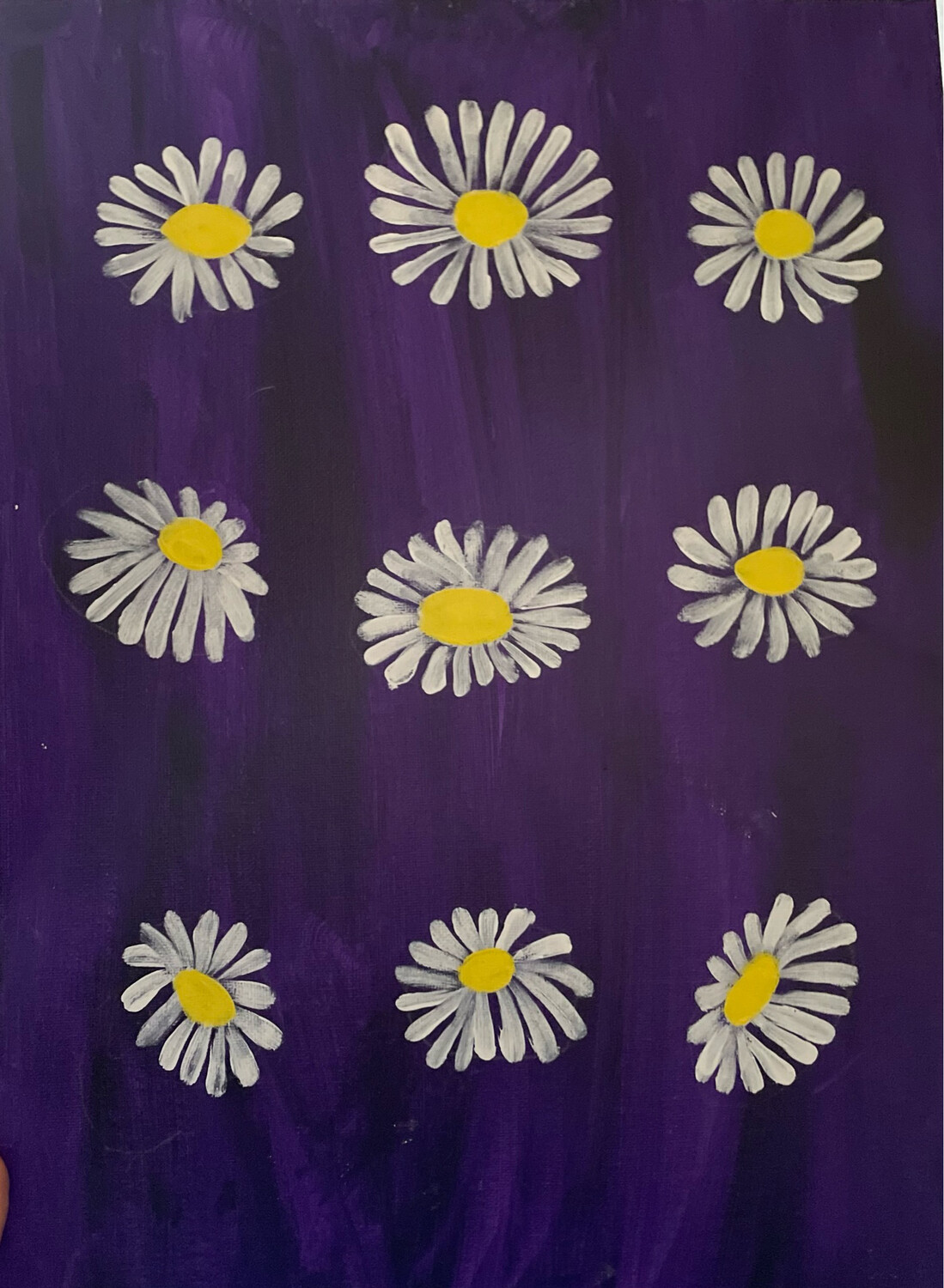 DAISIES