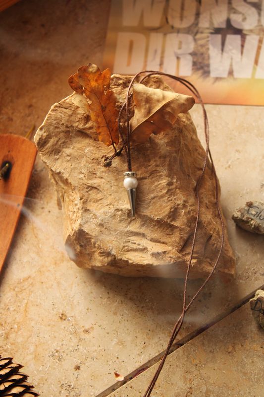 Magisches Kraftpendel