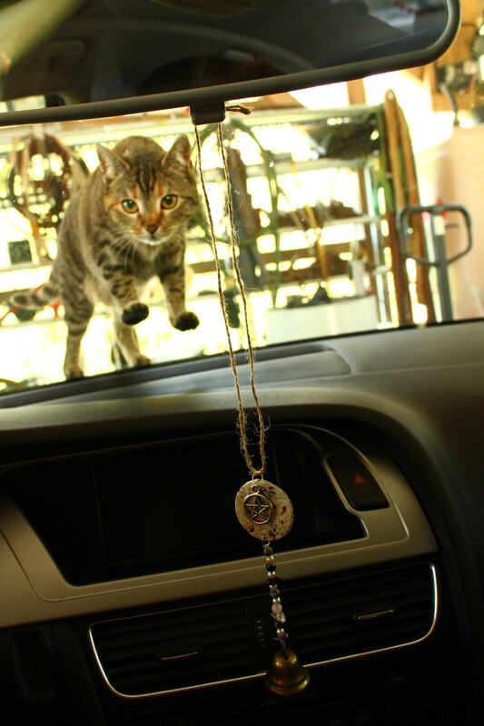 "Schutz"-Hexenglocke