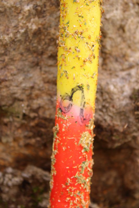 LÖWE-Astrokerze ♌