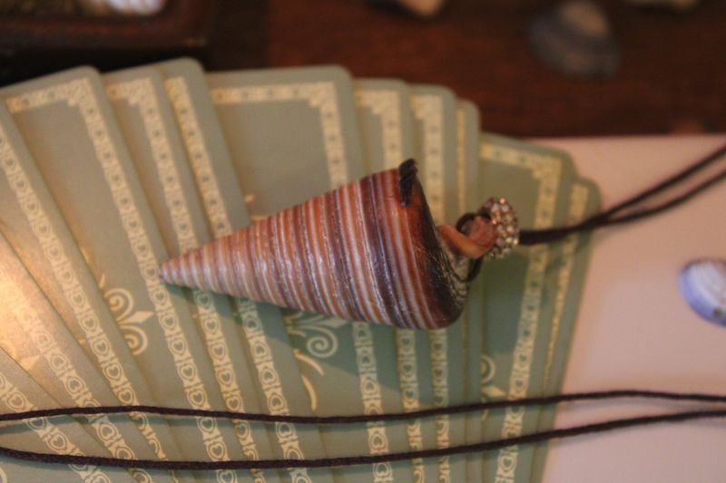 "Telescopium" 🐚 - Muschelamulett